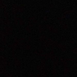 Meet your Posher, Celine